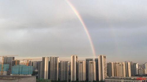成都彩虹最新爆料,揭秘神秘事件背后的真相  第1张